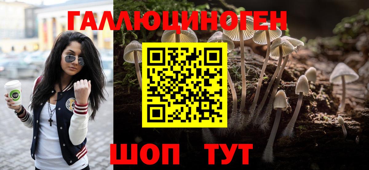 Галлюциногенные грибы прущие грибы  Вход с VPN  Полевской 