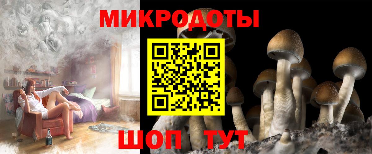 Галлюциногенные грибы прущие грибы Полевской